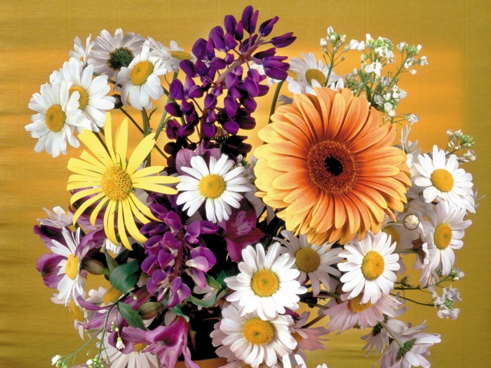 Bouquet of Gerbera daisies alstroemeria and lupine