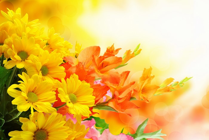 Yellow Chrysanthemums and Orange Gladioluses