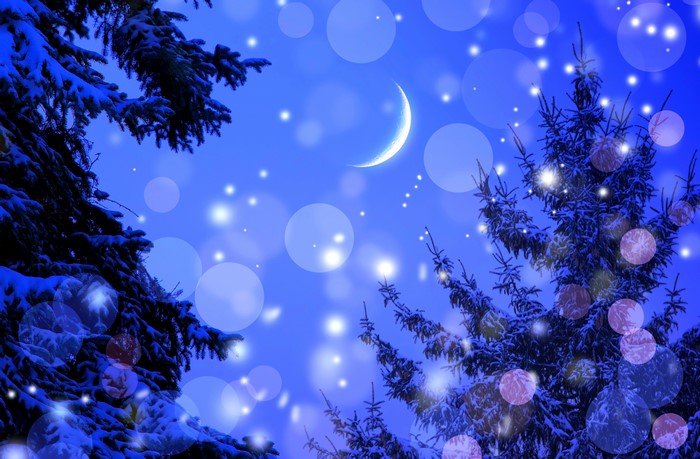 Winter night with crescent moon and spruce trees