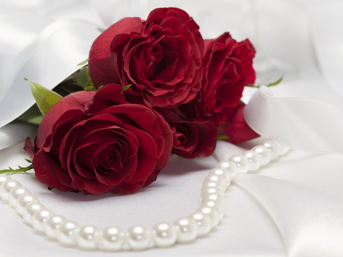 Red Roses and Pearls on White Silk