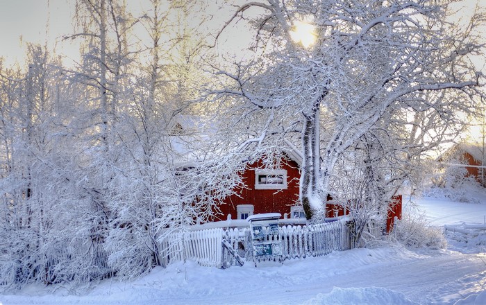 Winter scene with red house and snow-covered trees