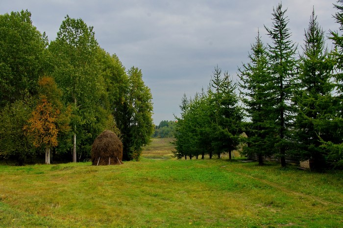 Haystack and trees in a Russian landscape