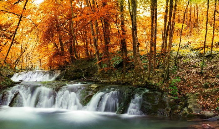 Autumn forest with cascading waterfalls