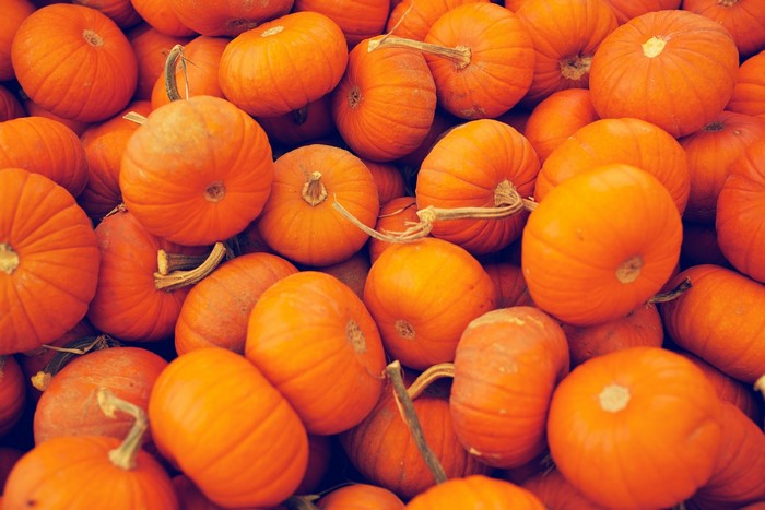 A pile of many orange pumpkins