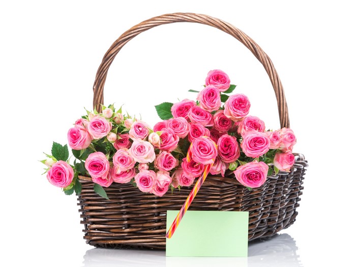 Basket of pink roses with a candy cane and card