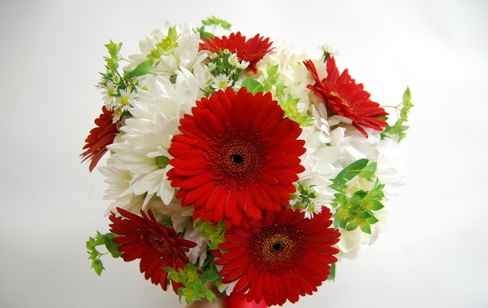 Bouquet of red gerberas and white chrysanthemums