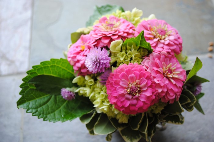 Pink Zinnias and Hydrangeas in a Bouquet