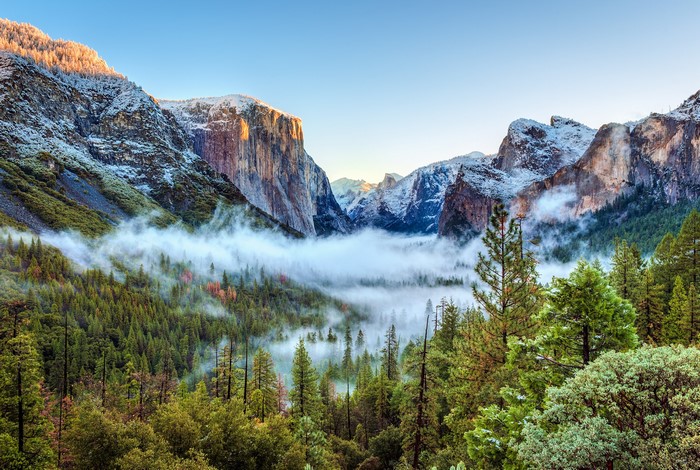 Yosemite National Park in Winter with Fog
