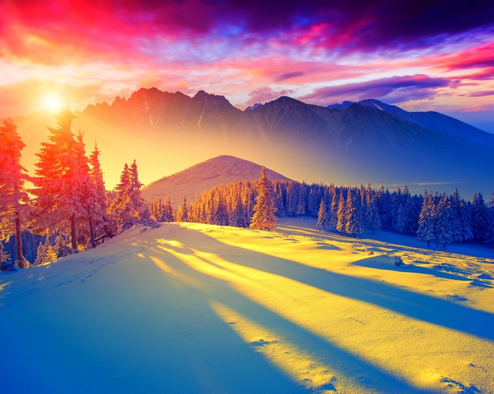 Winter mountain landscape with sunset and snow-covered trees
