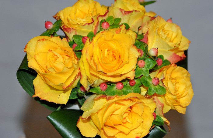 Bouquet of yellow roses with red edges and berries