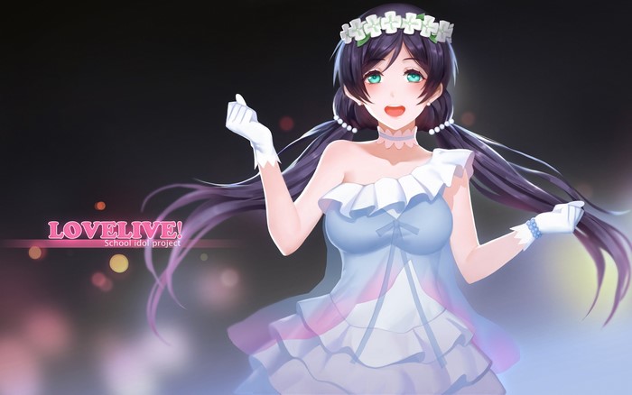 Nozomi Tojo from Love Live! School Idol Project