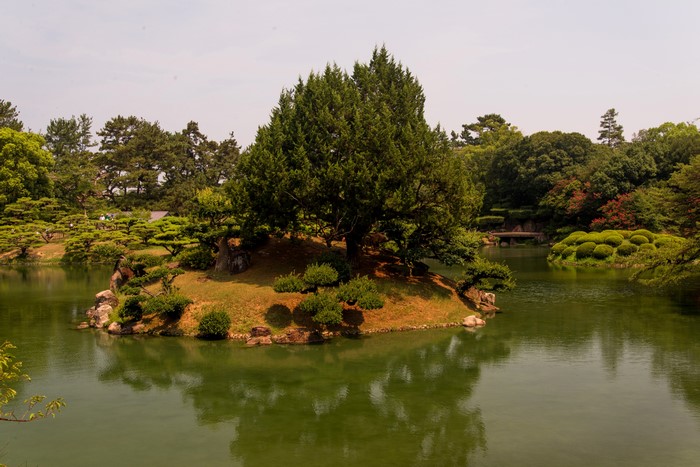 Takamatsu Ritsurin Garden Pond with Island Tree