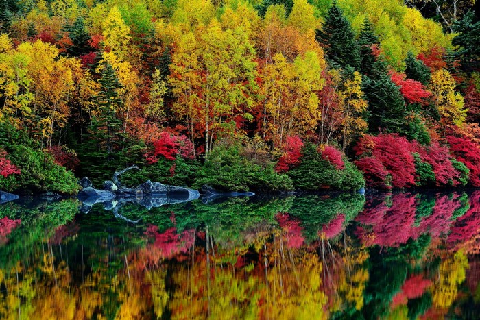 Autumn forest reflected in a lake