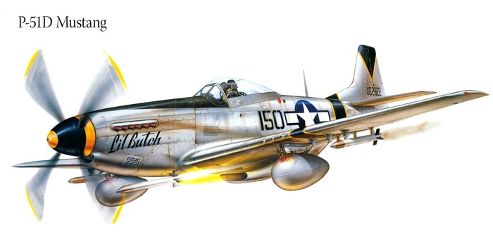 P-51D Mustang "Lil' Butch" Airplane Painting