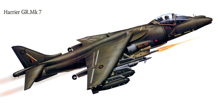 Harrier GR.Mk 7 Aircraft Painting