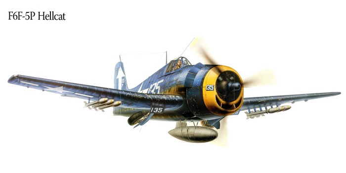 F6F-5P Hellcat Airplane Painting Art