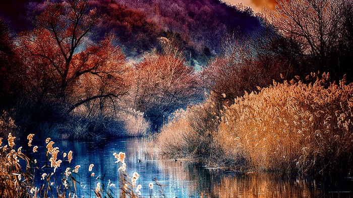Autumn landscape with a river and trees