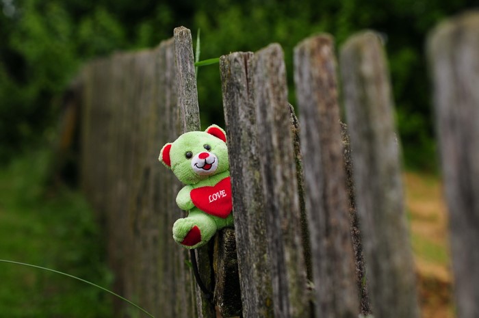 Green teddy bear with red heart on a wooden fence