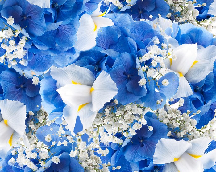 4K Hydrangea and Irises Floral Arrangement