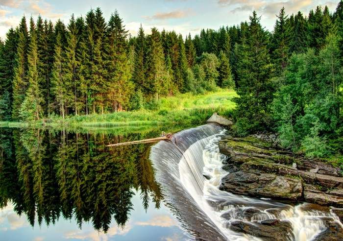 Waterfall cascading into a river with a forest backdrop