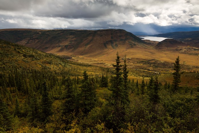 Autumn landscape in Denali National Park, Alaska