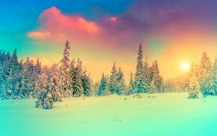 Snowy forest with colorful sunset sky