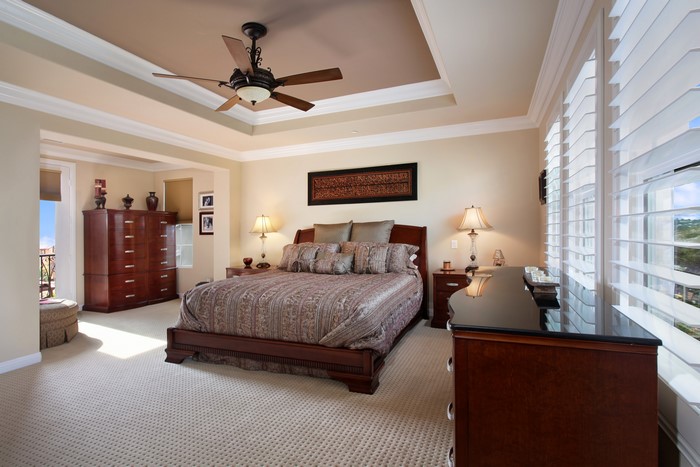 Luxury Bedroom with Tray Ceiling and Ceiling Fan