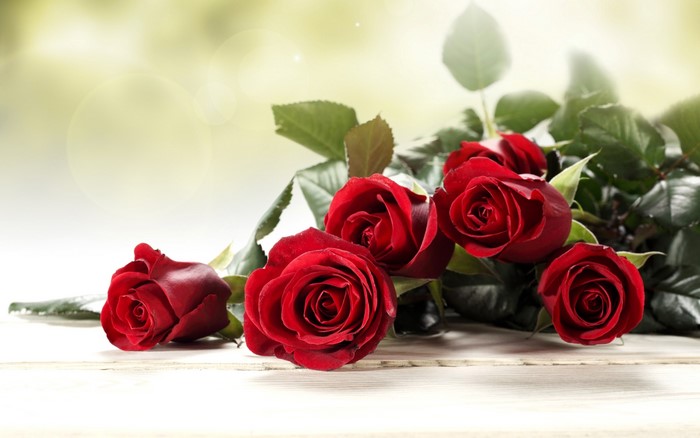 Red Roses on a Wooden Surface