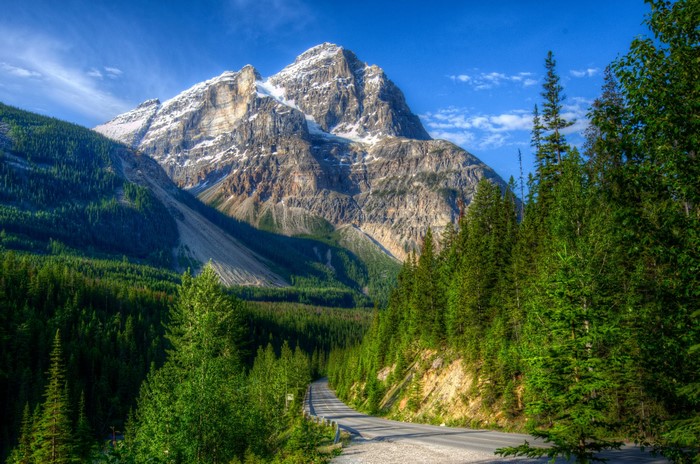 Mountain road through forests in Yoho National Park, Canada