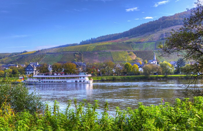 River cruise ship sailing past vineyards in Senheim, Germany