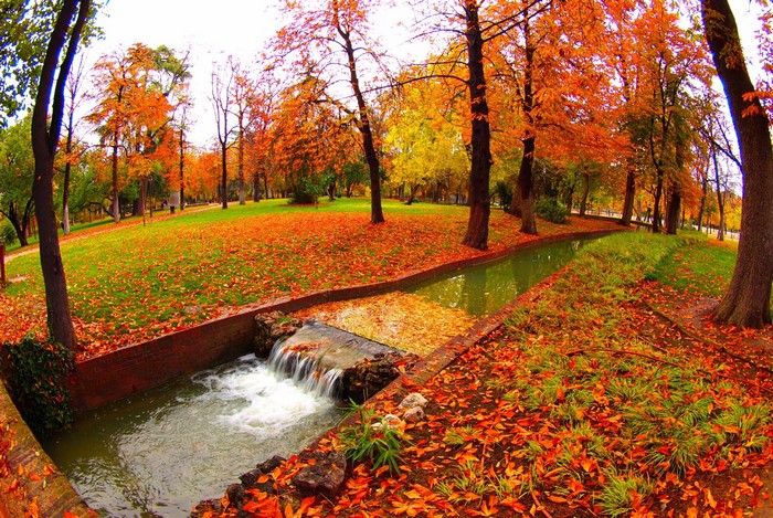 Autumn park with a stream and fallen leaves