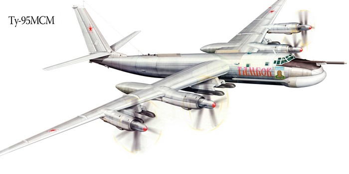 Tu-95MCM Airplane Painting Art