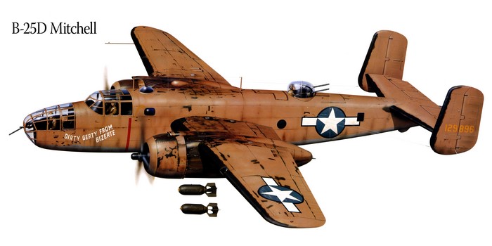 B-25D Mitchell Airplane Painting Art