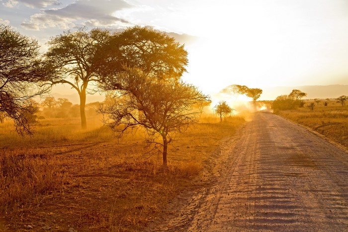 Dirt road in African savanna at sunset