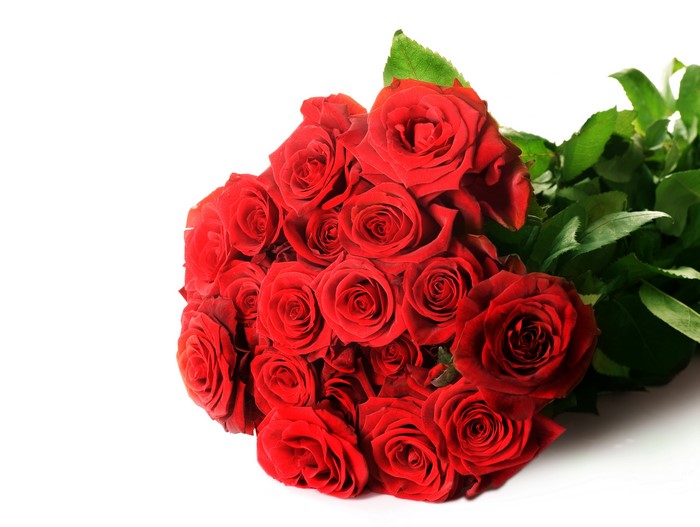 Bouquet of Red Roses on White Background