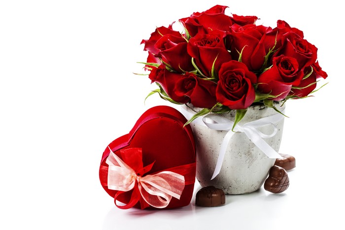 Red Roses in a Pot with Heart-Shaped Candy Box and Chocolates