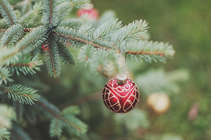 Red Christmas ornament on a pine tree branch