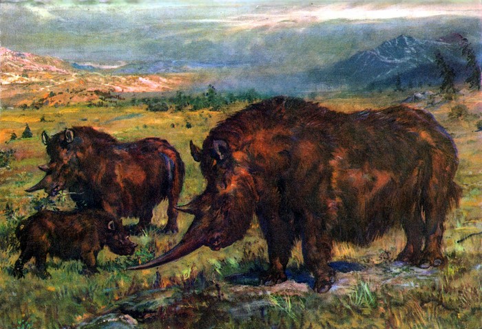 Woolly Rhinos in a Prehistoric Landscape by Zdenek Burian