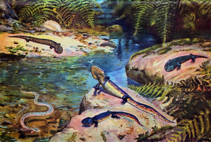 Ancient amphibians and reptiles in a prehistoric landscape