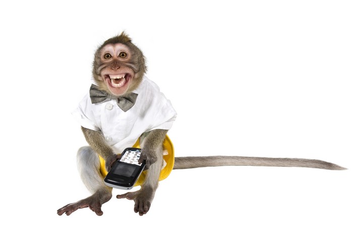 Monkey in a shirt and bow tie holding a phone