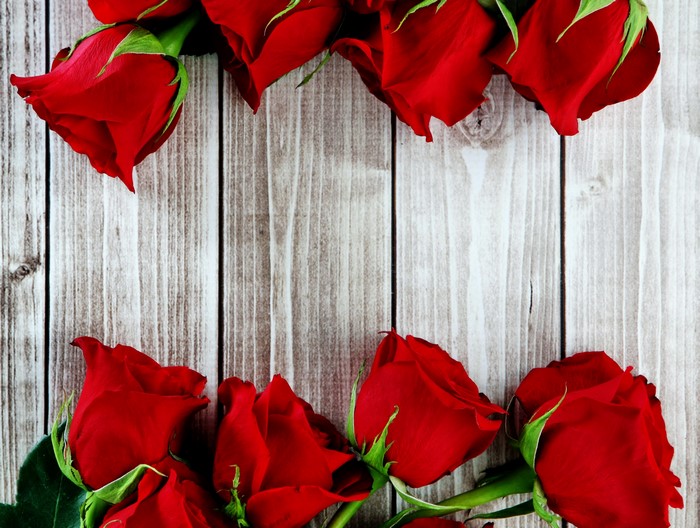 Red Roses on Wooden Background