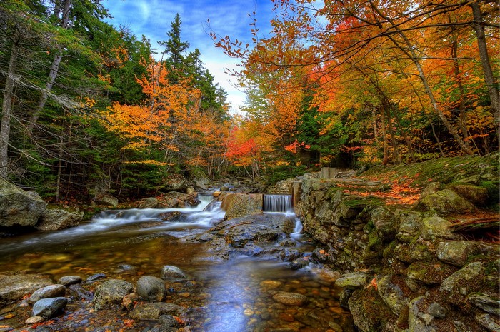 Autumn forest stream with waterfalls and rocks