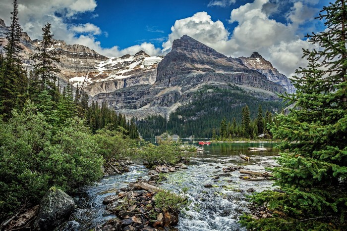 Mountains and River Scenery with Spruce Trees