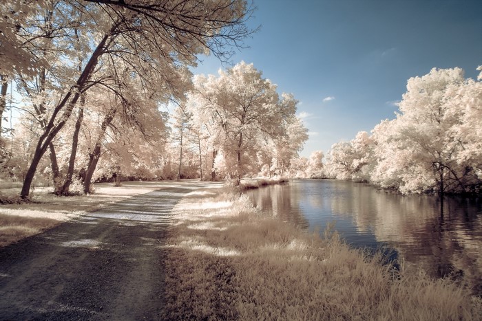 Path by a river with trees in infrared