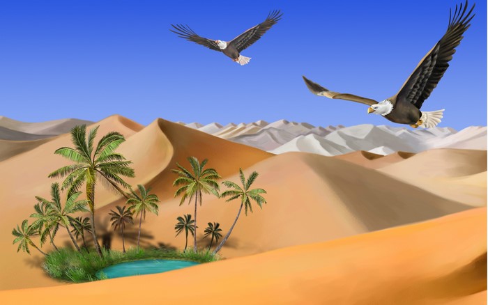Bald Eagles flying over a desert oasis with palm trees