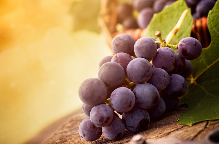 Grapes in a basket