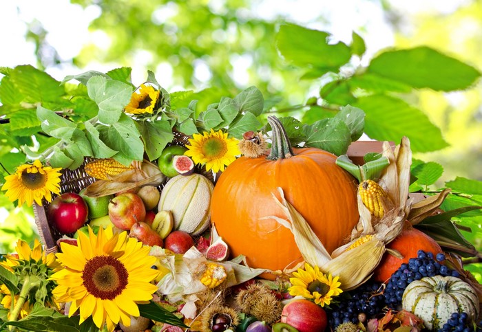 4K Autumn Harvest with Pumpkin, Corn, and Sunflowers