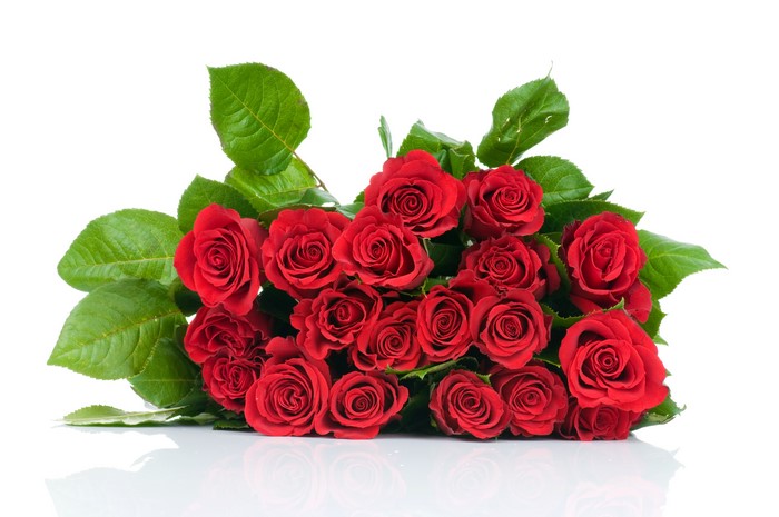 Bouquet of Red Roses