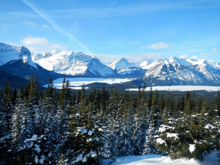 Snowy Mountains and Forest in Alberta, Canada
