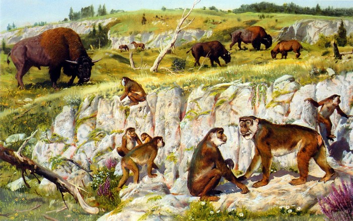 Macaca florentina ancient animals by Zdenek Burian